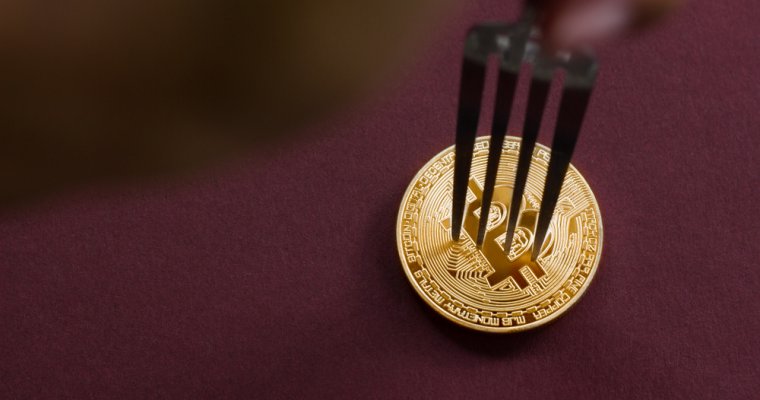 Bitcoin cash first hard fork date jill carlson crypto